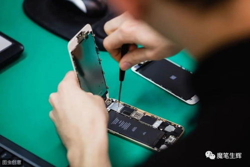 年輕人創(chuàng)業(yè)好項(xiàng)目,職場(chǎng)者做副業(yè)的好選擇,互聯(lián)網(wǎng)時(shí)代副業(yè)剛需